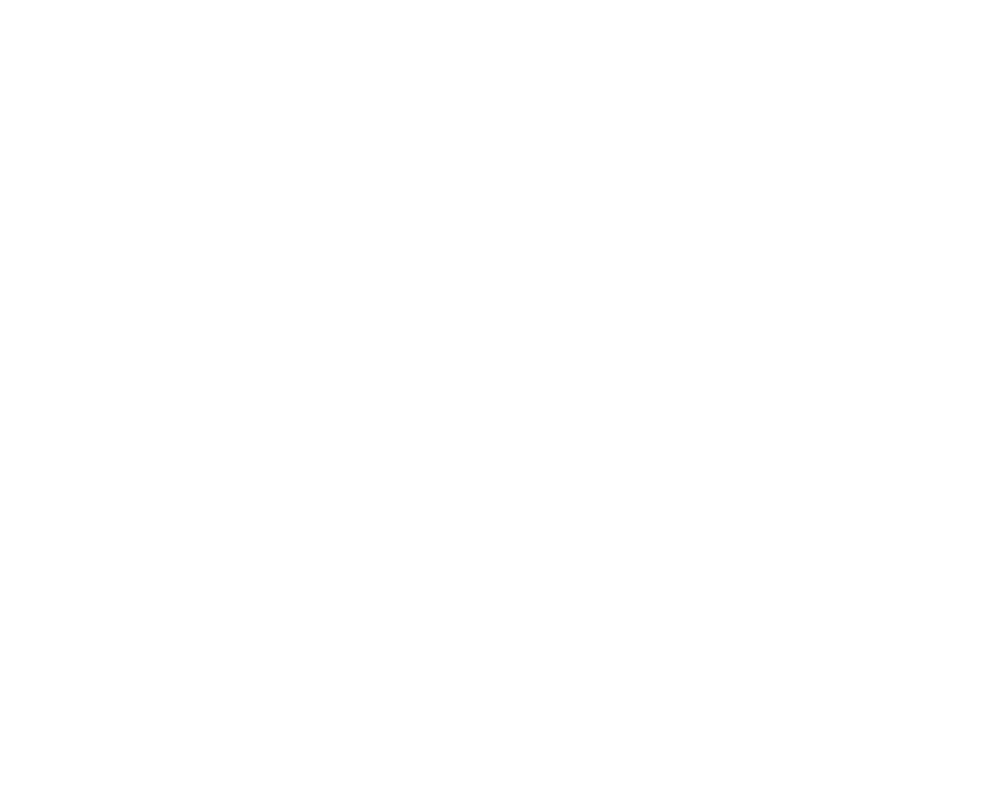 N-Power